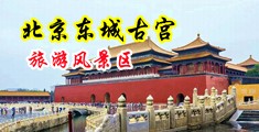 日逼视频美女大鸡巴中国北京-东城古宫旅游风景区